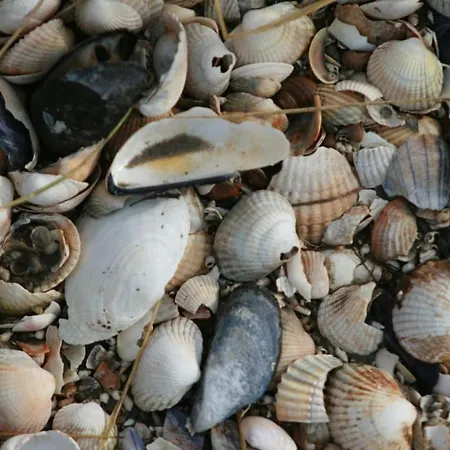 Haus Coco 120qm In Dornumersiel, Am Mit Sauna Dornum