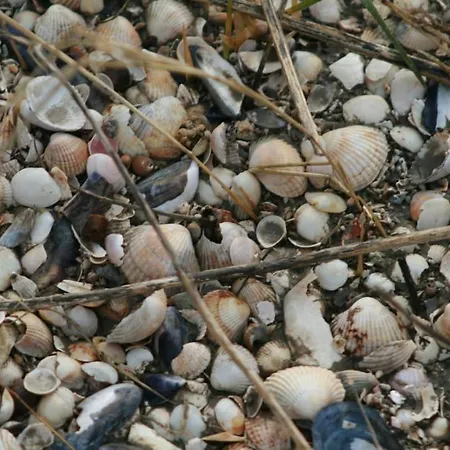 Holiday home Haus Coco 120qm In Dornumersiel, Am Mit Sauna Dornum