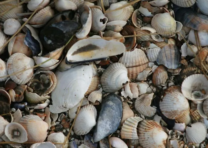 Haus Coco 120qm In Dornumersiel, Am Mit Sauna Dornum